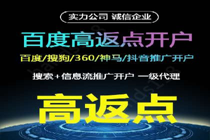 低成本高回报：百度竞价代理成功案例分析