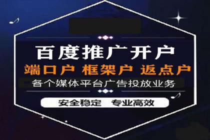 百度竞价代理实战技巧：经典案例深度解读